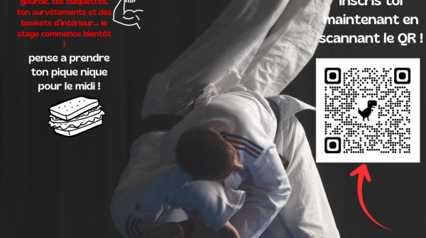 Stage judo vendredi 24 octobre à Nogent le Roi